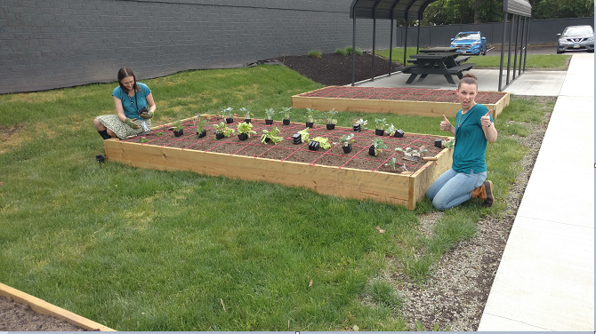 Digging in the dirt to plant veggies!