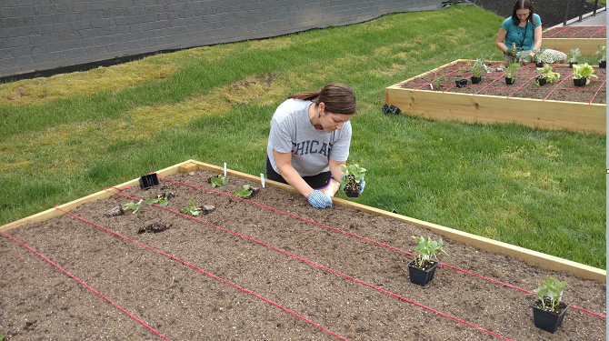 Team lead Jen Johnson readies the soil for planting.