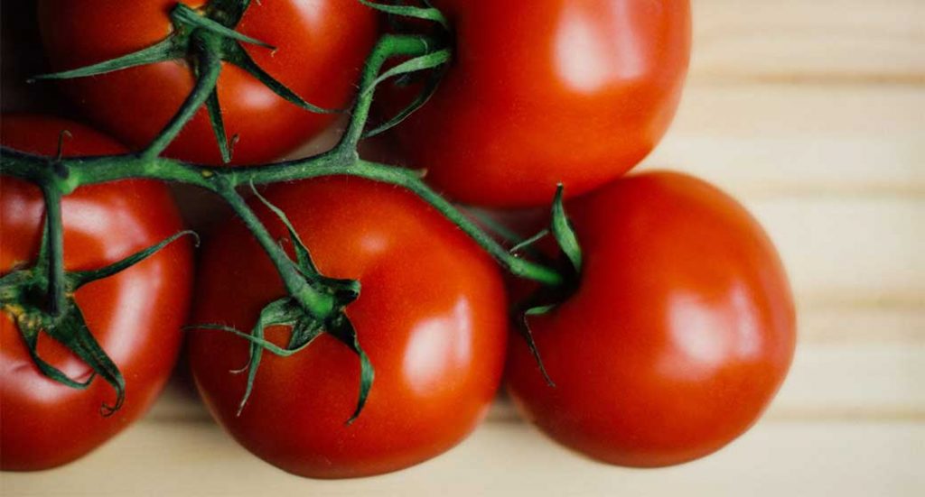 Wendy's tests new fresh tomato sourcing