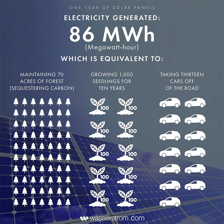 An infographic that shows the environmental equivalents of our solar panel usage.