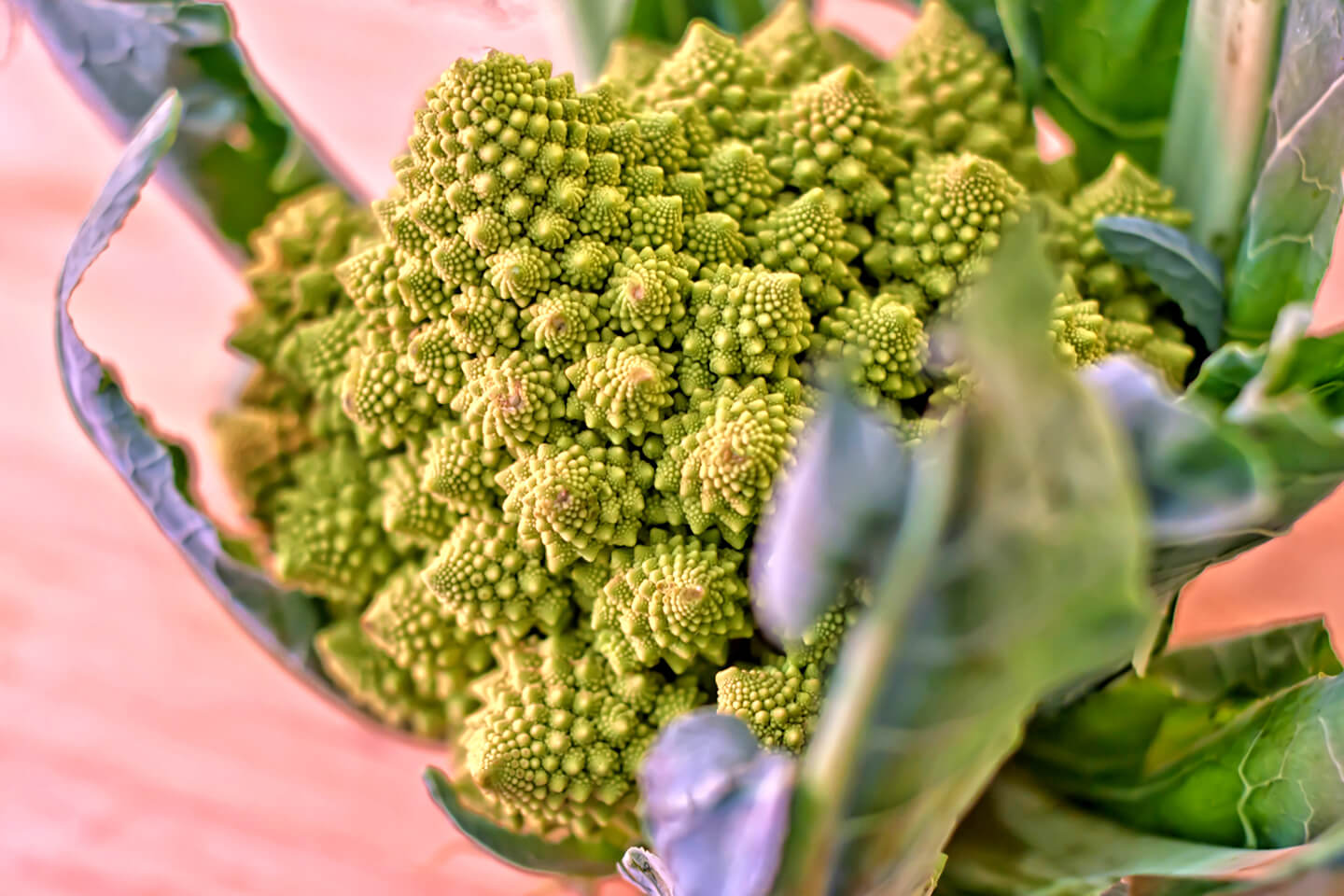 Broccoflower