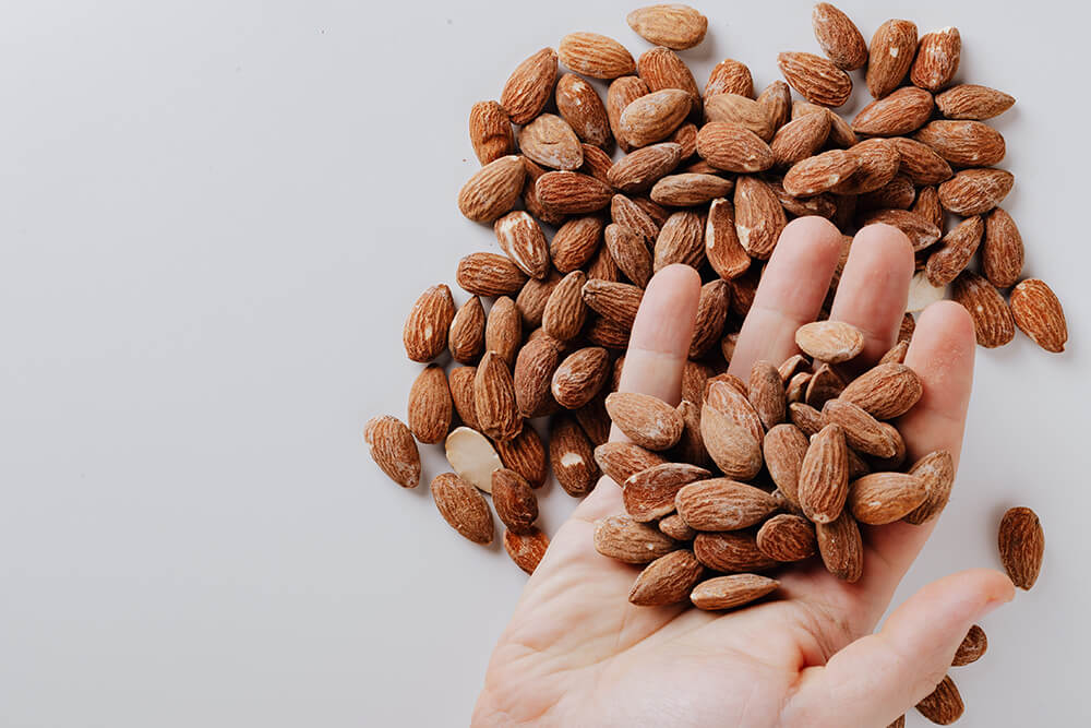 Hand holding almonds.