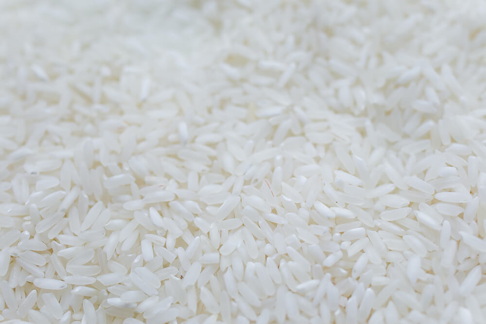 Close up photo of rice.