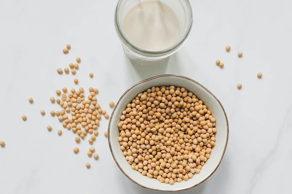 Bowl of soy next to soy milk. A dairy alternative.