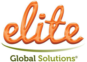 elite global solutions logo