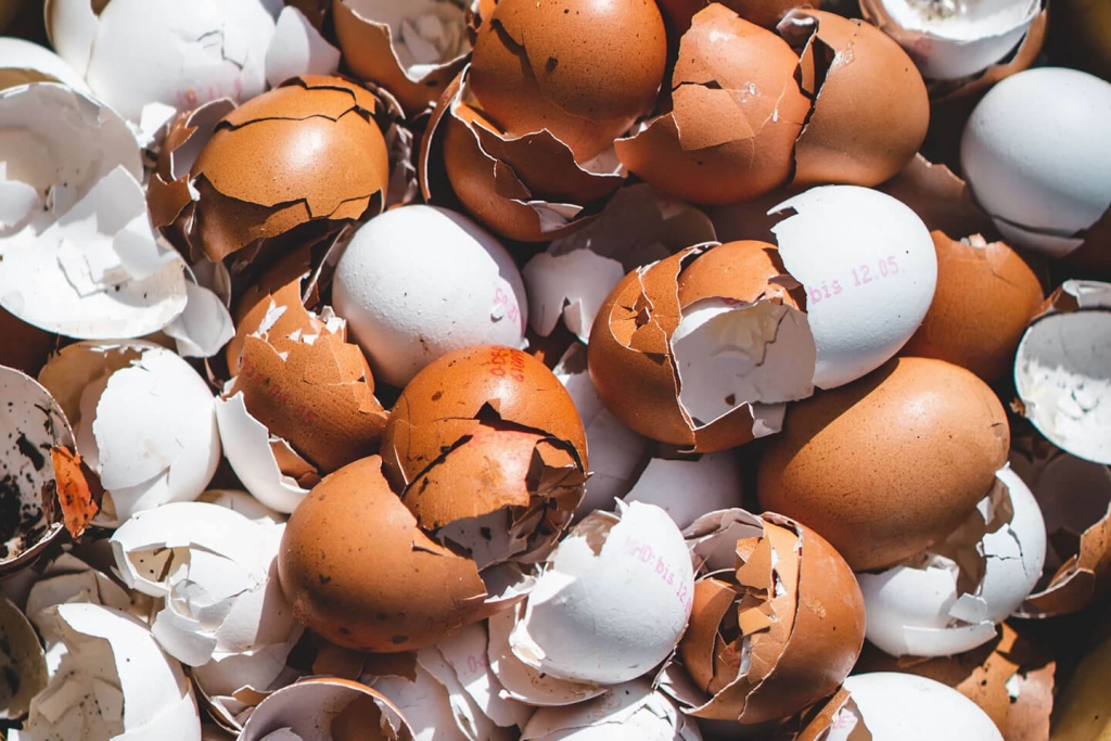 Egg shells can be composted, added to soil, or help with pest control!