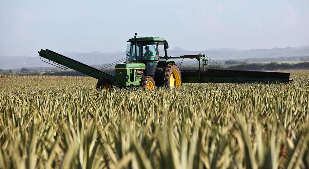 Cyber attacks spark trouble for a grain collective.