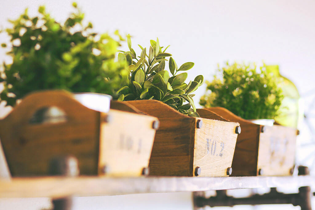 Restaurant plants.