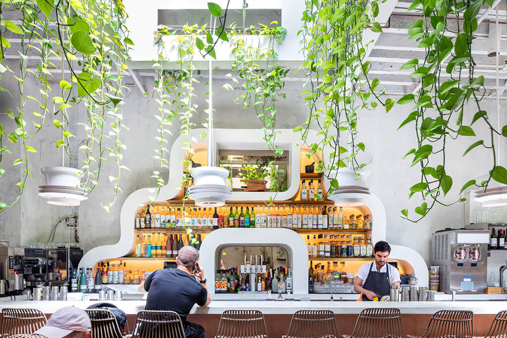 Michelin-starred Oxomoco and their biophilic restaurant design.