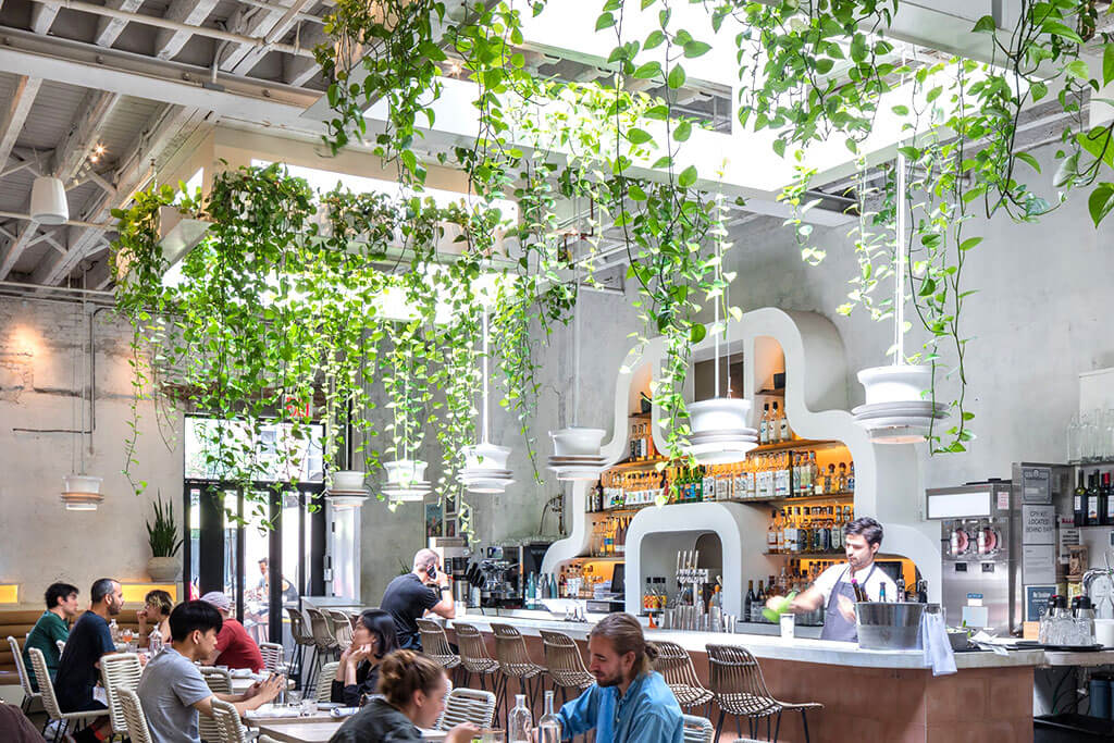Michelin-starred Oxomoco and their biophilic restaurant design. Michelin-starred Oxomoco and their biophilic restaurant design.