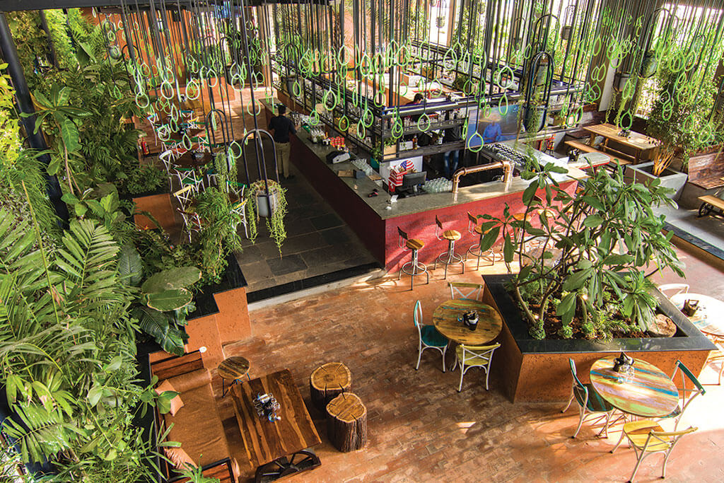 Stories - The Brew Chapter, biophilic design.