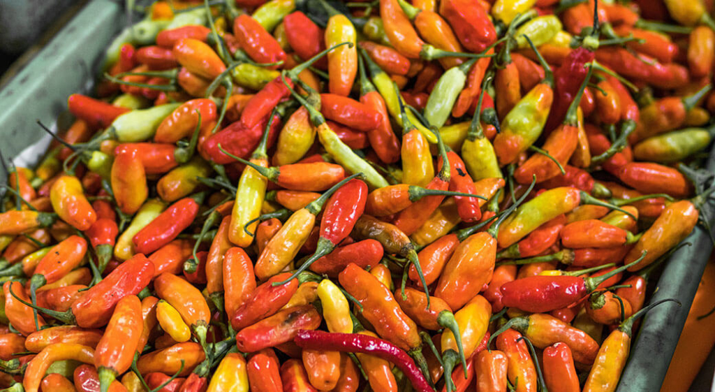 5 Easy Birds Eye Chili Substitutes for Spicy Dishes