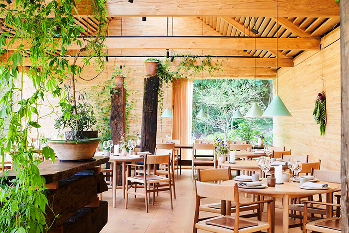 Experiential dining and sustainability at Noma.
