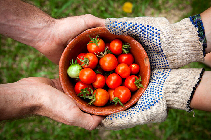 A 2018 report by the Farmers Market Coalition found that farmers markets generated an estimated $14.6 billion in annual sales in the United States.