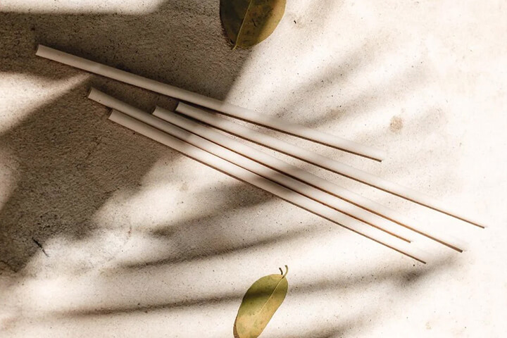 Spotlight on Sustainability: Agave Straws