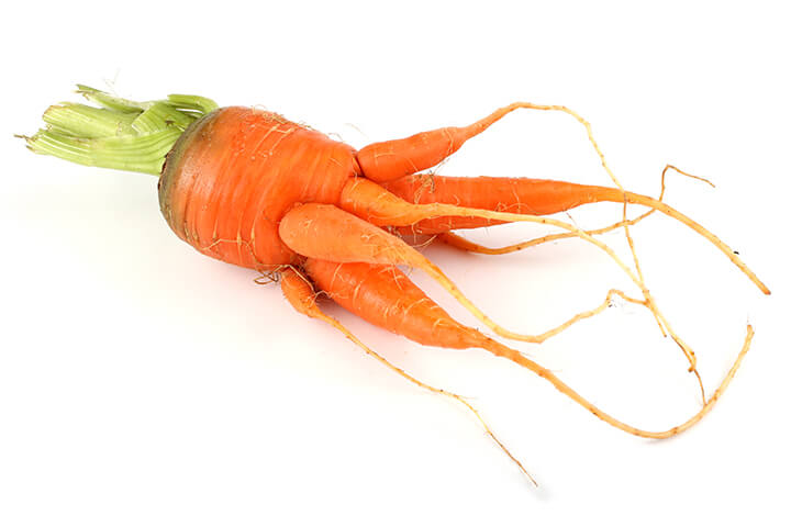 A fun carrot monster even kids would love.
