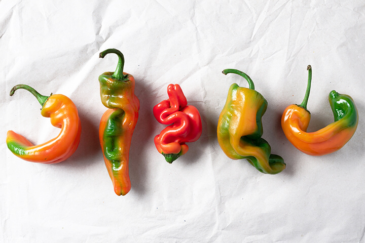 Artful "ugly" peppers.