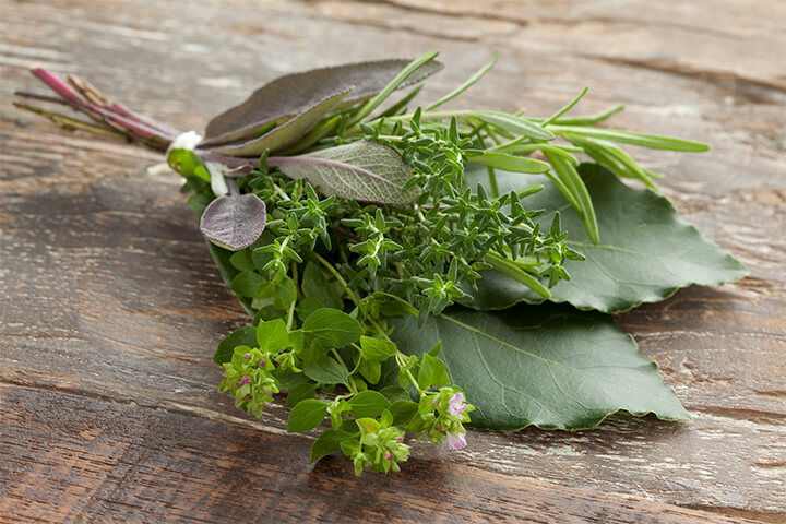 Herbs bundled together.