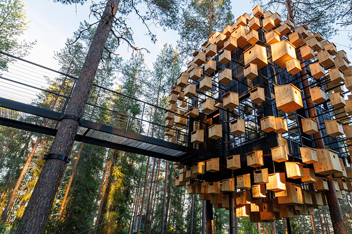 A room covered in wooden bird feeders.