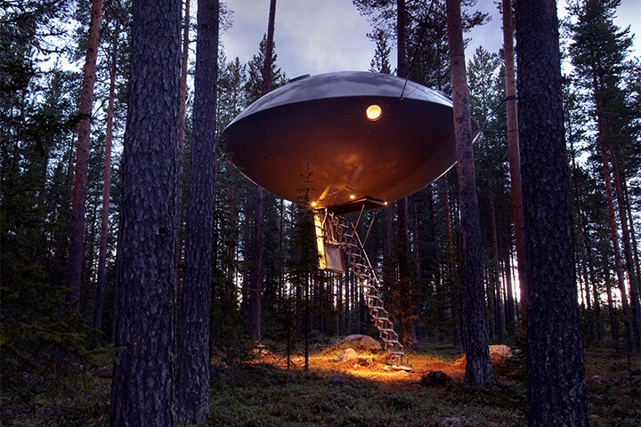 A UFO-like structure set in the woods.