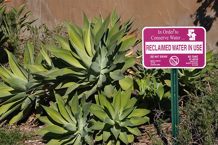 Reclaimed water in use sign near plants.