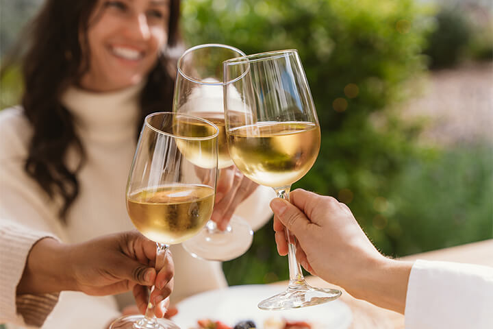 Three women cheers with Vina wine glasses by Libbey.