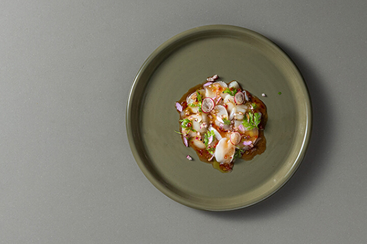 Scotia by Costa Nova.