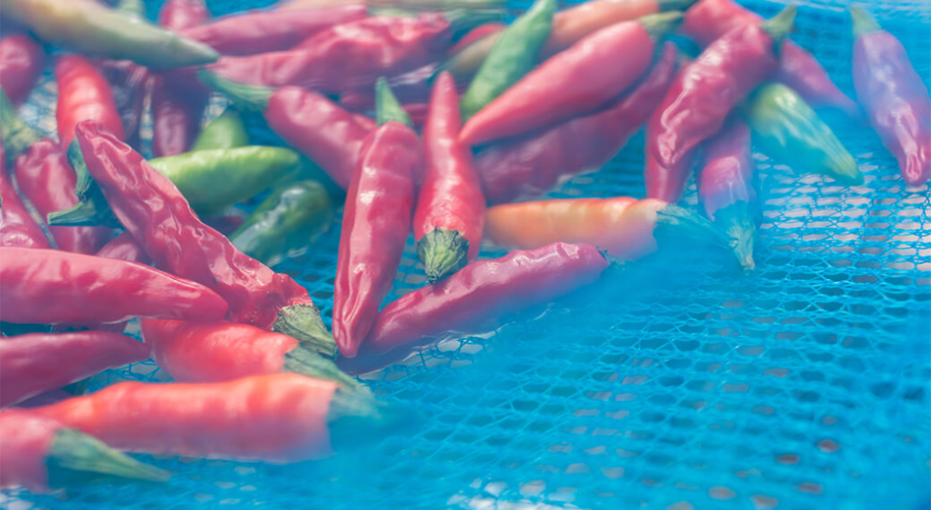 hot peppers